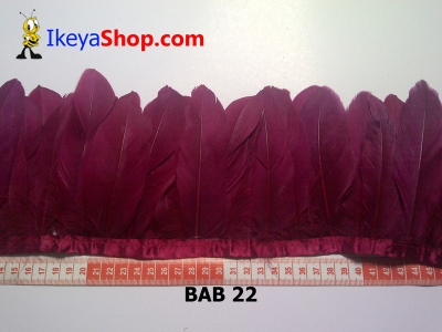 Bulu angsa BAB 22   feather  large2